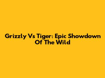 Grizzly Vs Tiger: Epic Showdown Of The Wild