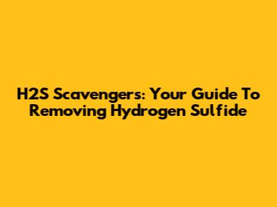 H2S Scavengers: Your Guide To Removing Hydrogen Sulfide