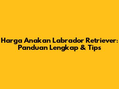 Harga Anakan Labrador Retriever: Panduan Lengkap & Tips