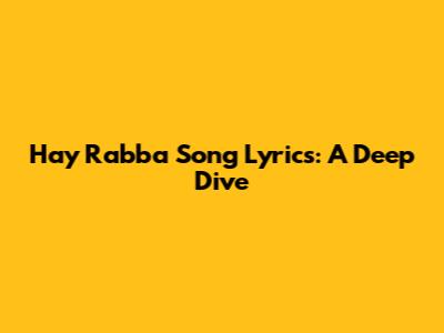 Hay Rabba Song Lyrics: A Deep Dive