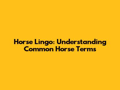 Horse Lingo: Understanding Common Horse Terms