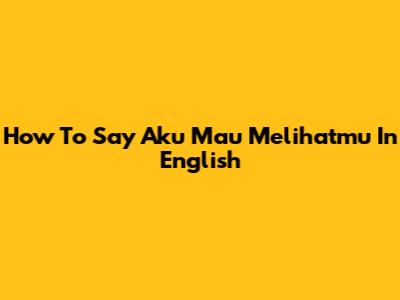 How To Say 'Aku Mau Melihatmu' In English