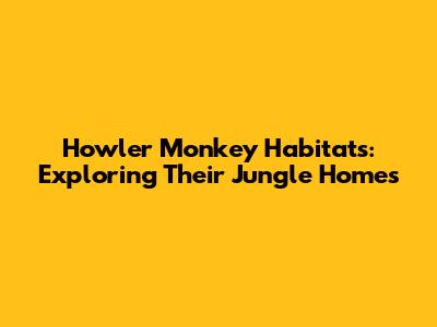 Howler Monkey Habitats: Exploring Their Jungle Homes