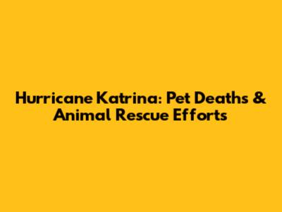 Hurricane Katrina: Pet Deaths & Animal Rescue Efforts