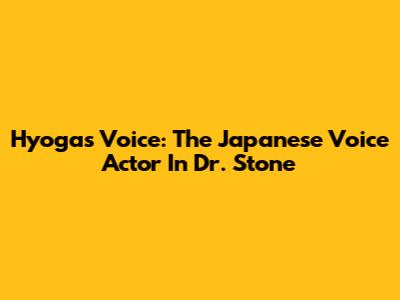 Hyoga's Voice: The Japanese Voice Actor In Dr. Stone