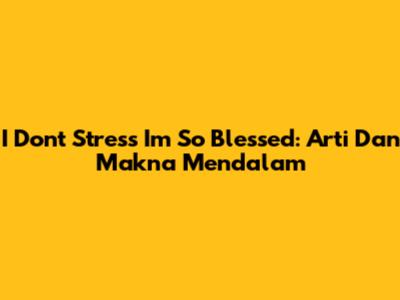 I Don't Stress I'm So Blessed: Arti Dan Makna Mendalam