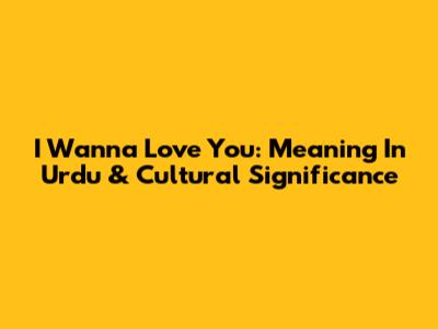 I Wanna Love You: Meaning In Urdu & Cultural Significance
