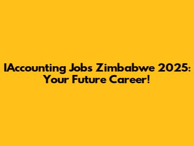 IAccounting Jobs Zimbabwe 2025: Your Future Career!