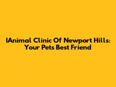 IAnimal Clinic Of Newport Hills: Your Pet's Best Friend