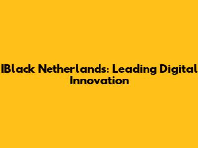 IBlack Netherlands: Leading Digital Innovation