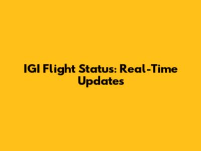 IGI Flight Status: Real-Time Updates