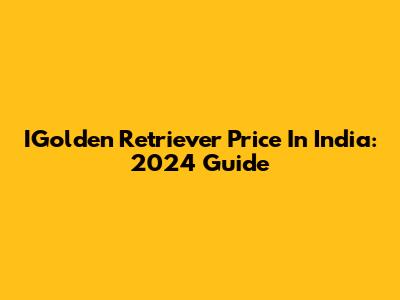 IGolden Retriever Price In India: 2024 Guide