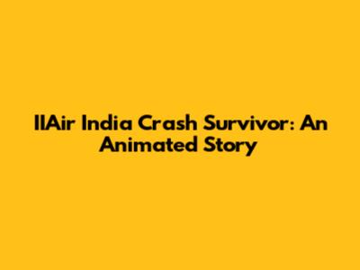 IIAir India Crash Survivor: An Animated Story