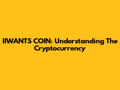 IIWANT'S COIN: Understanding The Cryptocurrency
