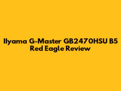 IIyama G-Master GB2470HSU B5 Red Eagle Review
