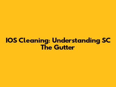 IOS Cleaning: Understanding 'SC The Gutter'