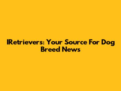 IRetrievers: Your Source For Dog Breed News