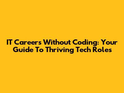 IT Careers Without Coding: Your Guide To Thriving Tech Roles