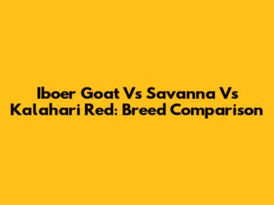 Iboer Goat Vs Savanna Vs Kalahari Red: Breed Comparison