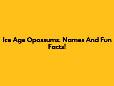 Ice Age Opossums: Names And Fun Facts!