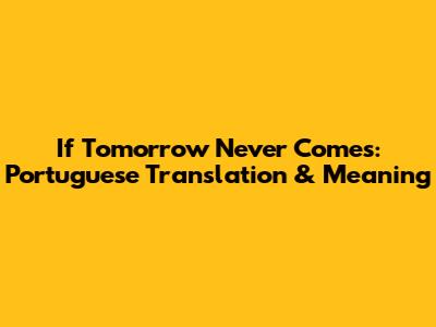 If Tomorrow Never Comes: Portuguese Translation & Meaning
