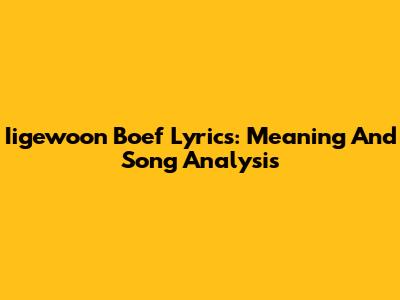 Iigewoon Boef Lyrics: Meaning And Song Analysis