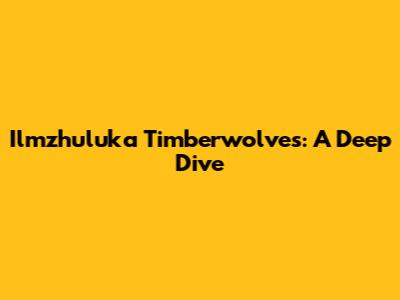 Ilmzhuluka Timberwolves: A Deep Dive