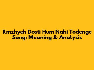 Ilmzhyeh Dosti Hum Nahi Todenge Song: Meaning & Analysis