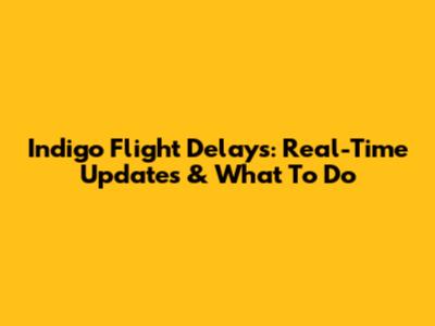 Indigo Flight Delays: Real-Time Updates & What To Do