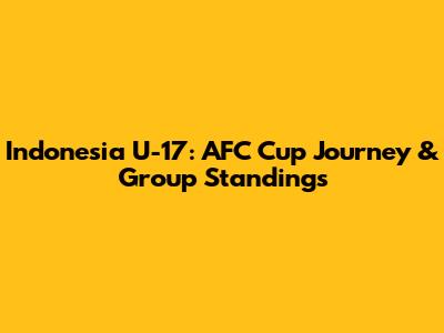 Indonesia U-17: AFC Cup Journey & Group Standings