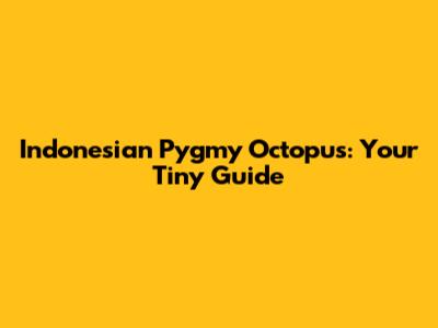Indonesian Pygmy Octopus: Your Tiny Guide