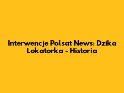 Interwencje Polsat News: Dzika Lokatorka - Historia