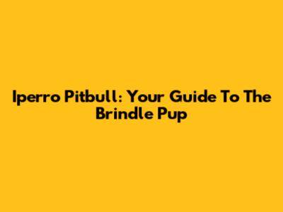 Iperro Pitbull: Your Guide To The Brindle Pup