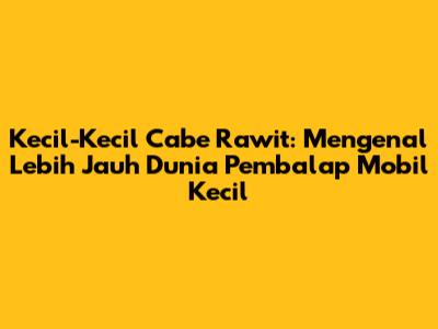 Kecil-Kecil Cabe Rawit: Mengenal Lebih Jauh Dunia Pembalap Mobil Kecil