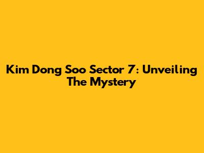 Kim Dong Soo Sector 7: Unveiling The Mystery