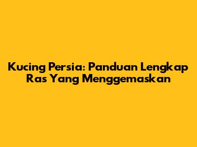Kucing Persia: Panduan Lengkap Ras Yang Menggemaskan