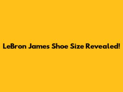 LeBron James' Shoe Size Revealed!