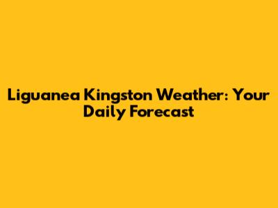 Liguanea Kingston Weather: Your Daily Forecast