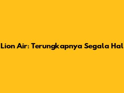 Lion Air: Terungkapnya Segala Hal