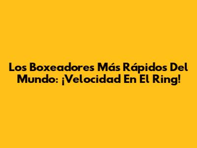 Los Boxeadores Más Rápidos Del Mundo: ¡Velocidad En El Ring!