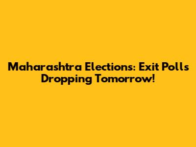 Maharashtra Elections: Exit Polls Dropping Tomorrow!