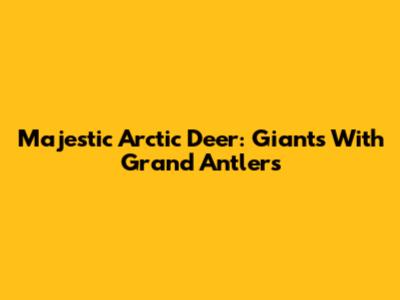 Majestic Arctic Deer: Giants With Grand Antlers