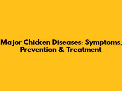 Major Chicken Diseases: Symptoms, Prevention & Treatment