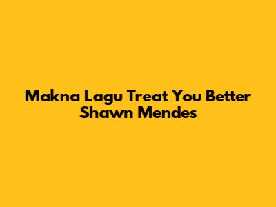 Makna Lagu "Treat You Better" Shawn Mendes