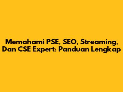 Memahami PSE, SEO, Streaming, Dan CSE Expert: Panduan Lengkap