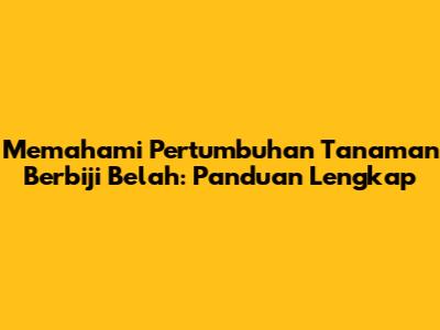 Memahami Pertumbuhan Tanaman Berbiji Belah: Panduan Lengkap
