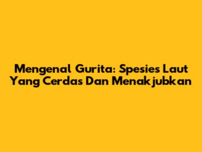 Mengenal Gurita: Spesies Laut Yang Cerdas Dan Menakjubkan
