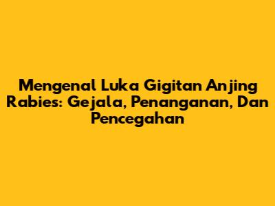 Mengenal Luka Gigitan Anjing Rabies: Gejala, Penanganan, Dan Pencegahan