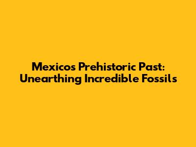 Mexico's Prehistoric Past: Unearthing Incredible Fossils