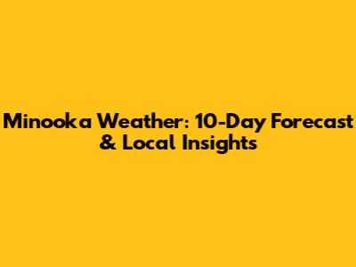 Minooka Weather: 10-Day Forecast & Local Insights